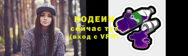 хмурый Липки