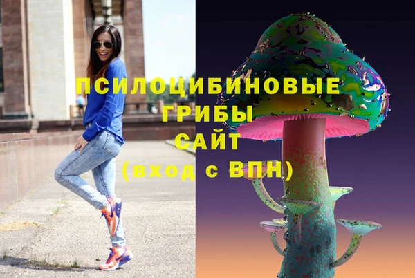 бутират Медногорск